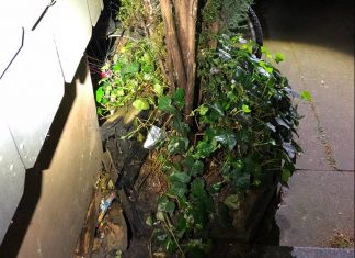 An der Brandstelle lag an verkohltes Stück Holz. Foto: Polizei