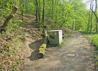 An dieser Stelle ereignete sich der Unfall. Foto: Polizei
