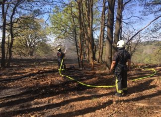 Zwei Mitglieder der Freiwilligen Feuerwehr Mettmann bei Löscharbeiten im Bereich der deutsch-niederländischen Grenze im Kreis Viersen. Foto: Feuerwehr Mettmann