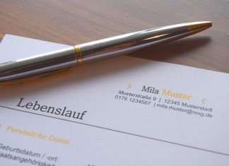 Ein Lebenslauf liegt auf dem Tisch. Foto: pixabay