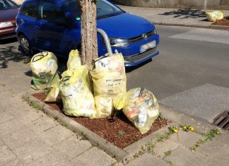 Auf der Weststraße wurden Gelbe Säcke auf den frisch bepflanzten Baumscheiben abgelegt. Foto: Kreisstadt Mettmann