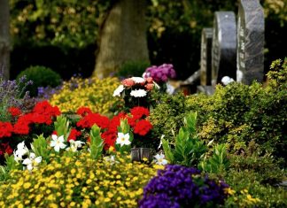 Bestattungen sind wieder im größeren Familienkreis möglich. Foto: pixabay