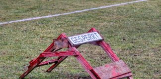 Ein Fußballfeld ist abgesperrt. Foto: pixabay