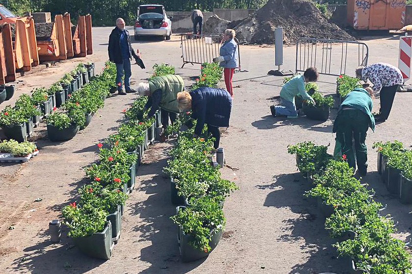 Die Frauen-Union hat insgesamt 66 Halbschalen bepflanzt, die anschließend als "Blumenampeln" an den Laternenmasten entlang der Hauptstraße aufgehängt worden sind.