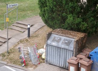 Wie Müll entsorgt: Zwei Einkaufswagen sind neben Müllcontainern abgelegt worden. Foto: privat