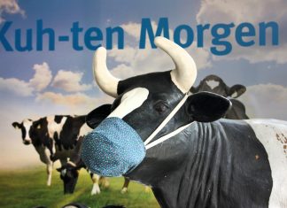 In der Pause nur mit Mund-Nase-Schutz: Maskottchen Käthe macht 's vor an der Grundschule Kuhstraße. Foto: privat