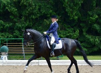 Helena Volmer mit ihrem SavoM beim Pfingstturnier 2019. Foto: L. Volmer