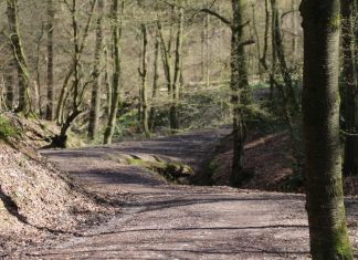 Wandern: Der Neandertalsteig ist im Bereich der Winkelmühle unterbrochen. Foto: André Volkmann