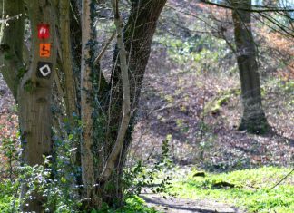 Durch eine Umleitung kann der "Neadernlandsteig" ohne Hindernisse durchwandert werden. Foto: André Volkmann