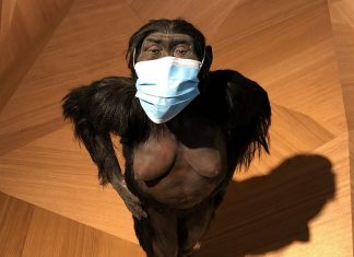 Die Hygiene-Vorschriften werden im Neanderthal-Museum von allen eingehalten. Foto: Neanderthal-Museum