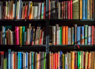 Medien können ab sofort zu den zweigstellen geliefert werden. Foto: pixabay