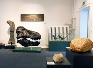 Neue Dauerausstellung des Mineralien-Museums. Bild: Copyright: Ruhr Museum/ Foto: Rainer Rothenberg