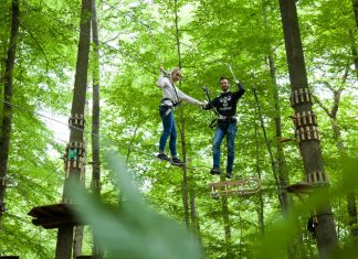 Hoch hinaus geht es im Waldkletterpark in Velbert-Langenberg. Foto: Waldkletterpark VE-Langenberg