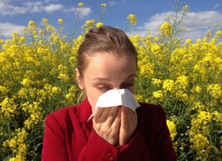 Husten oder Niesen kann auch in Corona-Zeiten durch Allergien oder Asthma bedingt sein. Foto: pixabay