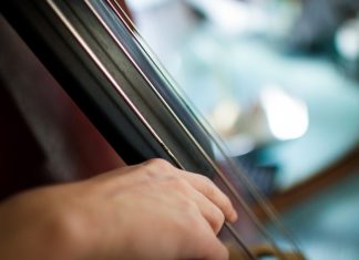 Musik auf einem Saiteninstrument. Foto: pixabay
