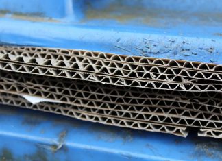 Pappe steckt in einer blauen Tonne. Foto: pixabay