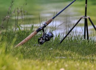 Die Ersatztermine für die Fischerprüfung stehen fest. Foto: pixabay