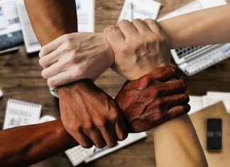 In dem Webinar der IHK Düsseldorf soll vermittelt werden, wie Unternehmen sich Vielfalt zunutze machen können. Foto: pixabay