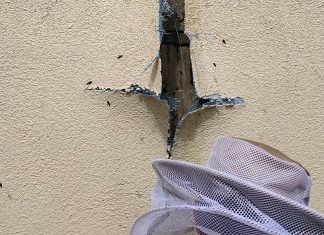 Rund 40.000 Bienen musste ein Imker aus diesem Nest umsiedeln. Foto: Feuerwehr Ratingen