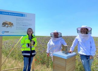 Lisa Gödde, Abteilung Umweltschutz- und Genehmigungen bei Lhoist sowie die Wülfrather Imkerinnen Nicole Janning und Anne Kurpiers an der Blühwiese. Foto: Lhoist