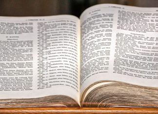 Eine aufgeschlagene Bibel ist zu sehen. Foto: pixabay