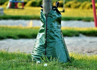 100 solcher Wassersäcke sollen den Bäumen in der Kreisstadt bei anhaltend trockener Witterung Feuchtigkeit spenden. Foto: pixabay