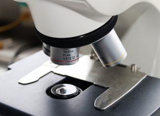 Ein Mikroskop wird für eine Laboruntersuchung genutzt. Foto: pixabayHändelstraße sind auf mögliche Coronavirus-Infektionen getestet worden. Foto: pixabay