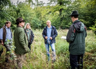 Ortstermin mit den Waldbesitzern Maximilian von Fürstenberg, Wilderich und Isabella von Ketteler, Peter Beyer MdB, sowie Volker Steinhage, Betreuungsförster vom Landesbetrieb Wald und Holz NRW. Foto: Daniel Königs.