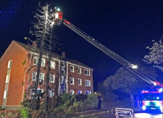 Feuerwehr im Einsatz: Die zwei Fichten standen im Vorgarten eines Hauses an der Poststraße in Langenfeld. Foto: Polizei