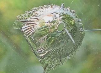 Mehrere Millimeter messen die Beschädigungen an den Scheiben. Foto: Polizei