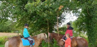 Eine Woche auf den Rücken der Pferde verbrachten die Ehrenamtlichen des Wülfrather Reitsportvereins. Foto: Reitverein