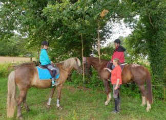 Eine Woche auf den Rücken der Pferde verbrachten die Ehrenamtlichen des Wülfrather Reitsportvereins. Foto: Reitverein