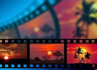 Ein Dschungel-Abendteuer für Kinder gibt es beim Kino-Nachmittag in der Velberter Bücherei zu sehen. Foto: Pixabay