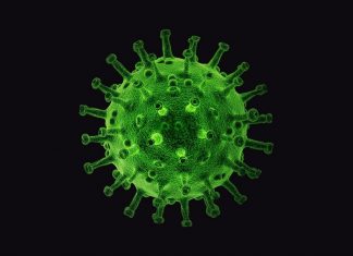 Test auf das Coronavirus sind positiv ausgefallen. Bild: pixabay/symbolbild