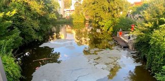 Die Verschmutzung auf der Wasseroberfläche ist deutlich zu erkennen. Foto: Polizei