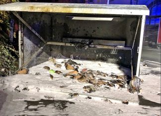 Der Container brannte vollständig aus. Foto: Polizei