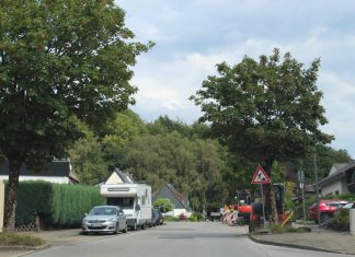 Bäume an der Hotzepar in Wülfrath. Foto: Kling