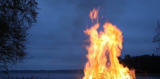 Bei anhaltender Trockenheit steigt die Gefahr von Bränden in Wäldern oder auf Wiesen. Foto: pixabay
