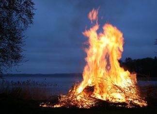Bei anhaltender Trockenheit steigt die Gefahr von Bränden in Wäldern oder auf Wiesen. Foto: pixabay