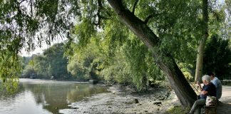 Der Abtskücher Stauteich während einer Baumaßnahme vor einigen Jahren. Archivfoto: Mathias Kehren