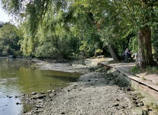 Am Bootsanleger der Modellbauer herrscht zur Zeit Ebbe. Für Wartungsarbeiten musste Wasser aus dem Abtkücher Teich gelassen werden. Foto: Mathias Kehren