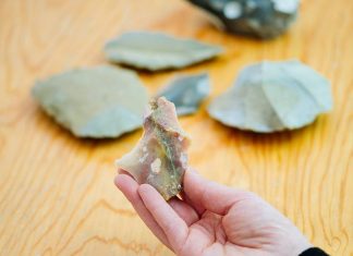 Funde aus Stein oder Knochen werden im Museum von Experten besprochen. Foto: Neanderthal-Museum