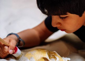 Nachwuchsforscher sind am Erlebnismuseen-Tag ins Neandertal eingeladen. Foto: Neanderthal-Museum/Neumann