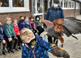 Wüstenhabicht "Harald" ließ sich von allen Kindern auf der Hand fangen. Foto: Mathias Kehren
