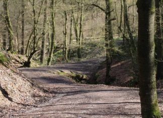 Der SGV bietet wieder Termine für Wanderausflüge an. Foto: André Volkmann