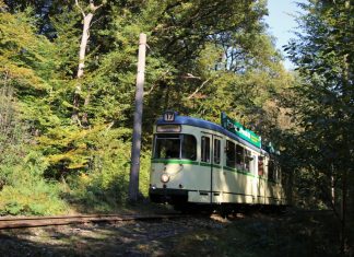Am Sonntag geht es mit der Tram in den Herbstwald. Foto: BMB