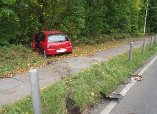 Die Frau kam nach dem Zusammenstoß mit einem Kleintransporter von der Straße ab. Foto: Polizei