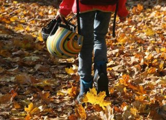 Regelmäßig gibt es Freizeitangebote für Kinder und Jugendliche. Foto: pixabay