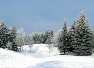 Im Winter startet die Caritas wieder mit ihren Reiseangeboten für Seniorinnen und Senioren. Symbolfoto: pixabay