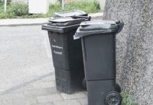 Zwei Mülltonnen stehen am Straßenrand. Foto: Volkmann